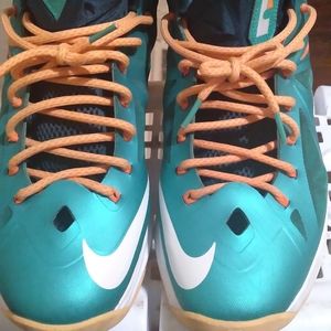 Nike Lebron miami 15s